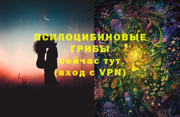 винт Арсеньев