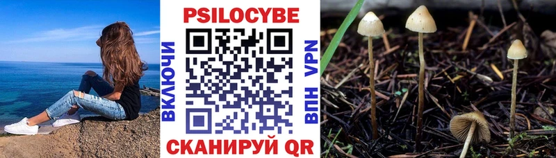 где купить наркотик  Сатка  Галлюциногенные грибы Magic Shrooms 